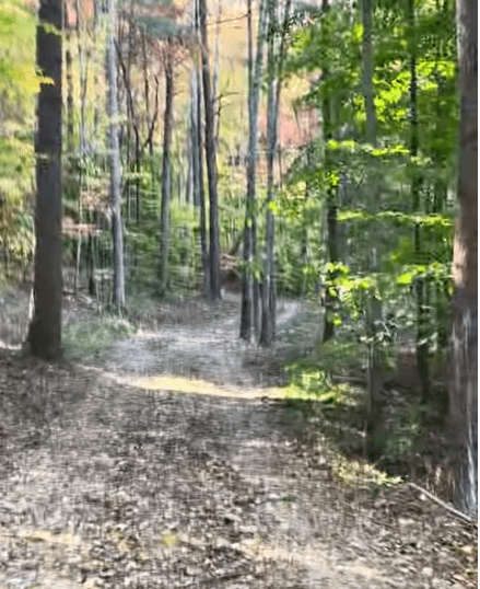 Morning Magic at Our Cabin: A Stunning Fall View